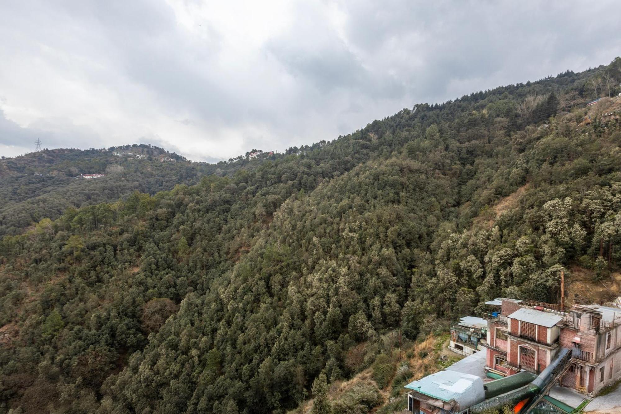Treebo Lords Garden Glory With Valley View & Centralized Heating Шимла Экстерьер фото